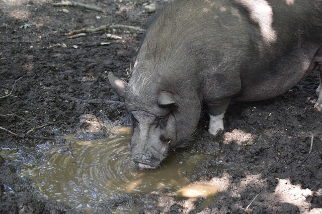 劲的实力 劲的实力